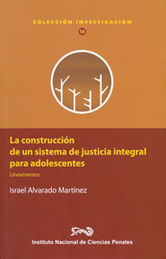 CONSTRUCCIÓN DE UN SISTEMA DE JUSTICIA INTEGRAL PARA ADOLESCENTES, LA