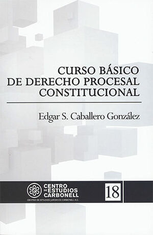 CURSO BÀSICO DE DERECHO PROCESAL CONSTITUCIONAL #18 - 1.ª ED. 2017