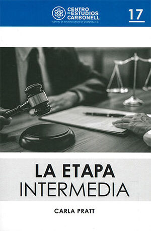 ETAPA INTERMEDIA, LA #17 - 1.ª ED. 2020